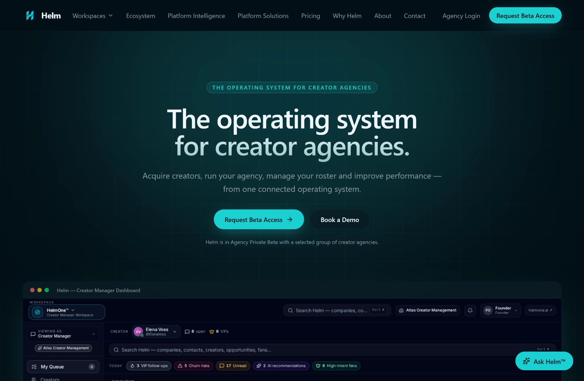 Helm website and platform preview